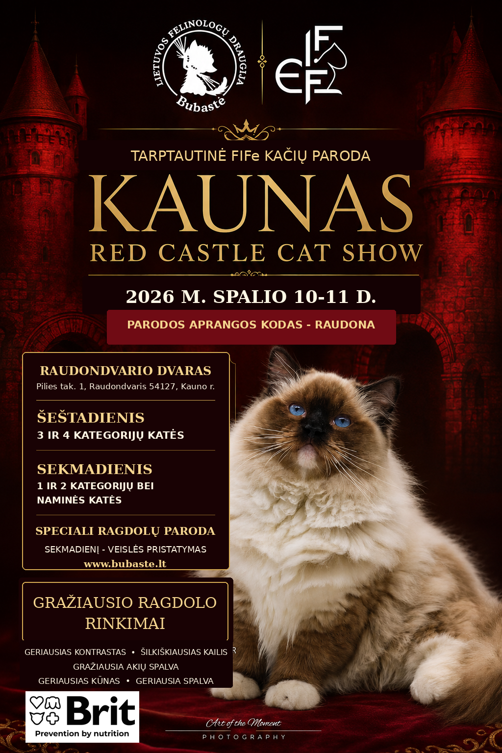 Tarptautinė kačių paroda 2026